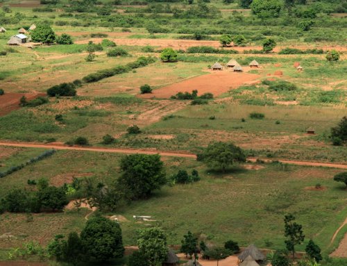 Será a agricultura de conservação uma solução para todo o mundo?